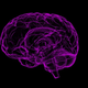 Image for article titled These Scientists Want to Redefine Alzheimer's as a 'Double-Prion' Disease
